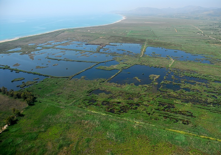 Prat de Cabanes-Torreblanca. Foto: Fundació Global Nature.